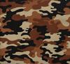 Camo Desert