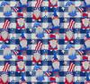 Gnomes-Patriotic