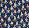 Gnomes-Santa