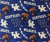 Kentucky Wildcats