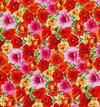 Multi-Colored Poppies