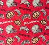 Ohio State Buckeyes