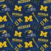 Michigan Wolverines