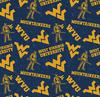 West Virginia Mountaineers