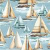Boats on the Water