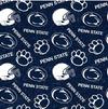 Penn State University