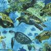 Green Sea Turtles