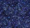 Starry Nights