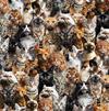 Cat Party